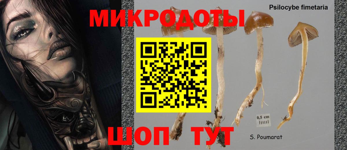 Галлюциногенные грибы мухоморы  Вход с VPN  Братск 